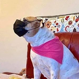 Meet your Posher, Carolin